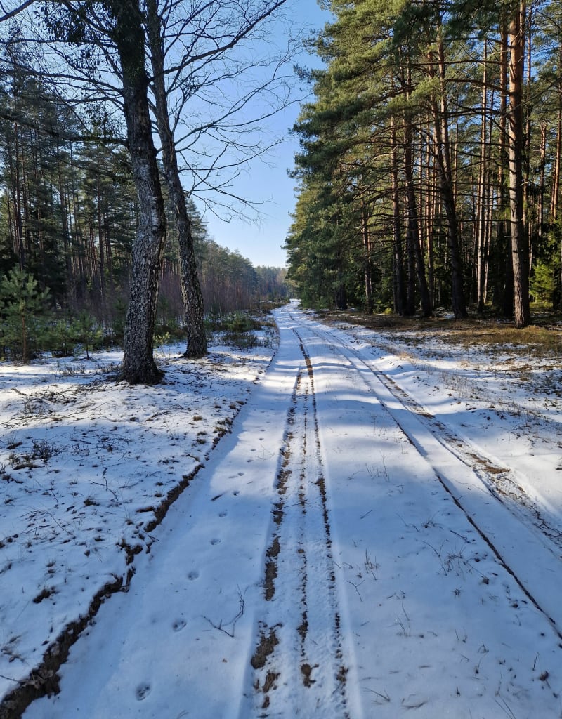 Trasa spacerowa Kowalik mazury - Ruciane-Nida