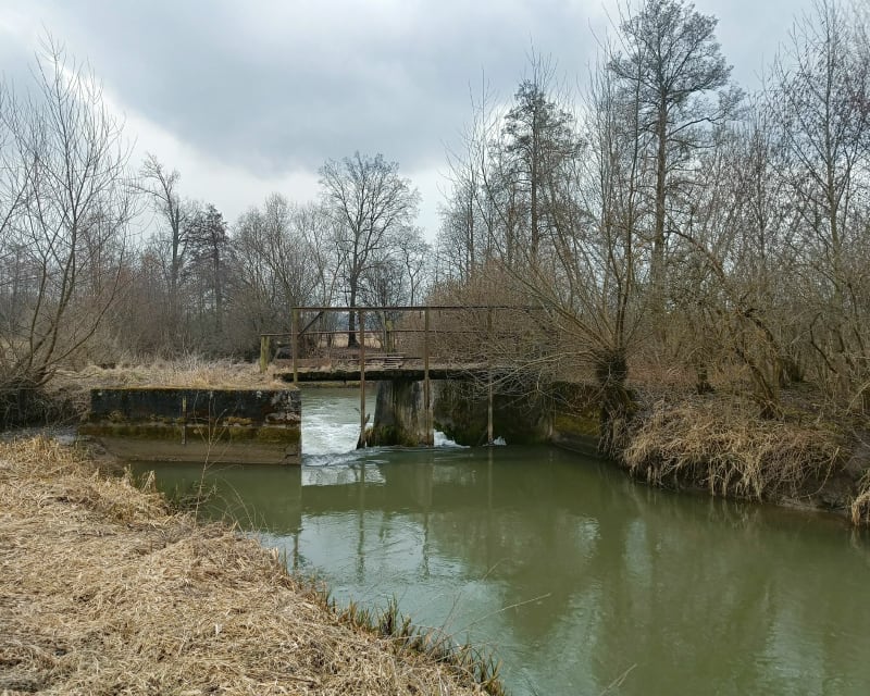 Rz.Szreniawa - Szklana