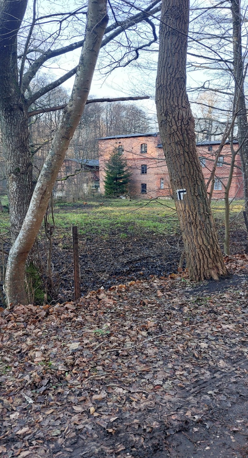 Trzymaj mocno kierownicę. - Wejherowo
