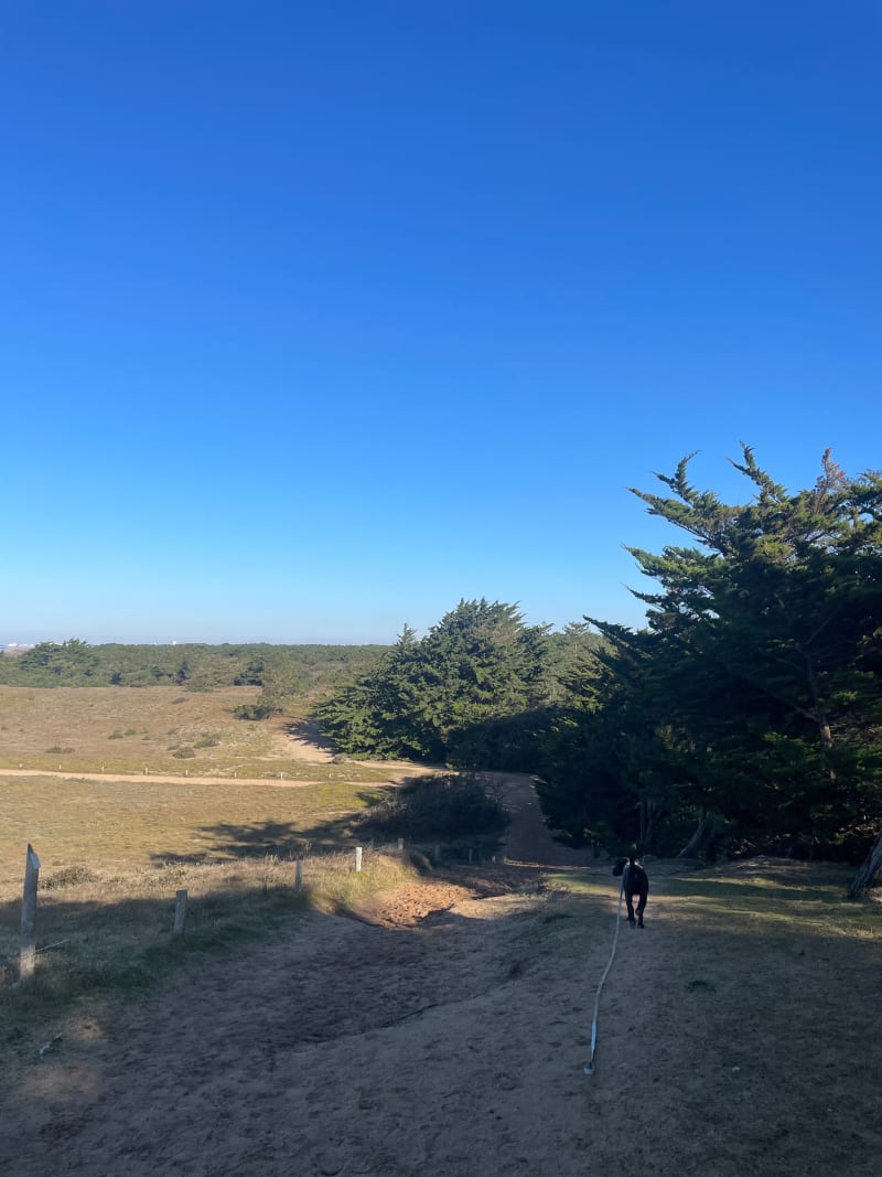 Circuit dune, forêt, marais  N°26 à Saint Hilaire de Riez - Saint-Hilaire-de-Riez