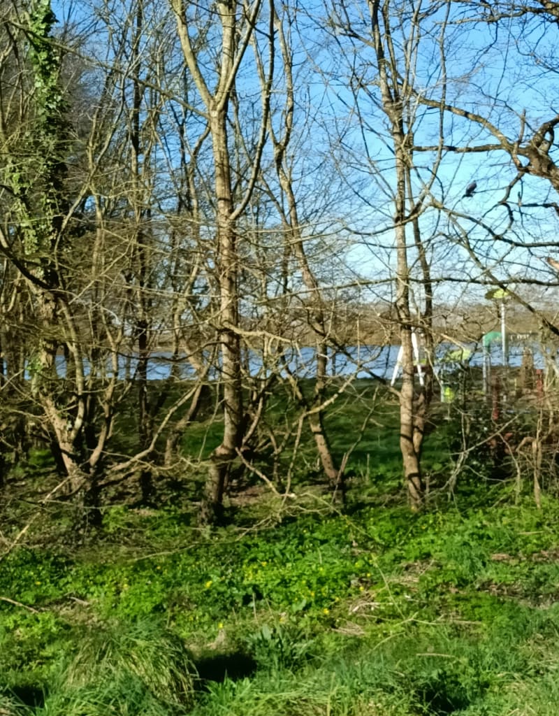 Campagne St Père Chauvé - Saint-Père-en-Retz