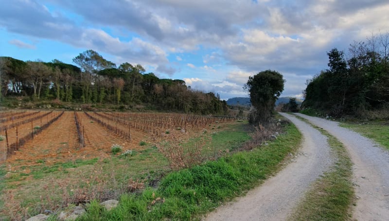 Boucle Domaine Lafoux - Farougères - Tourves