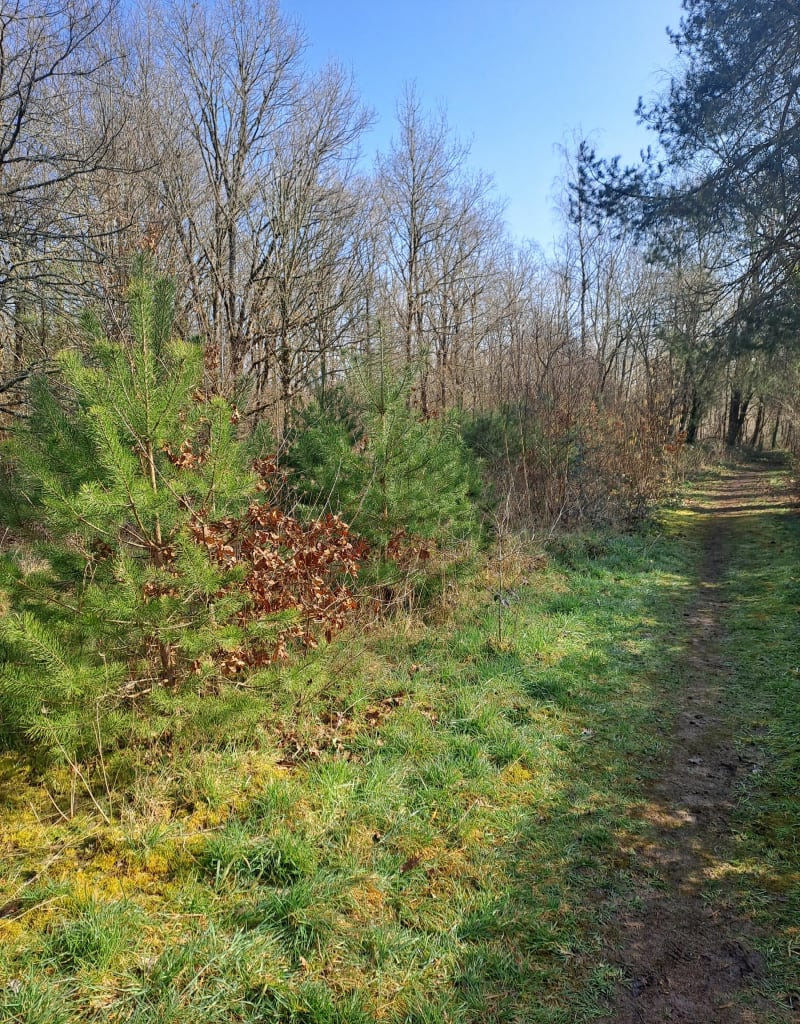 Entre ville et campagne à Olivet - Olivet
