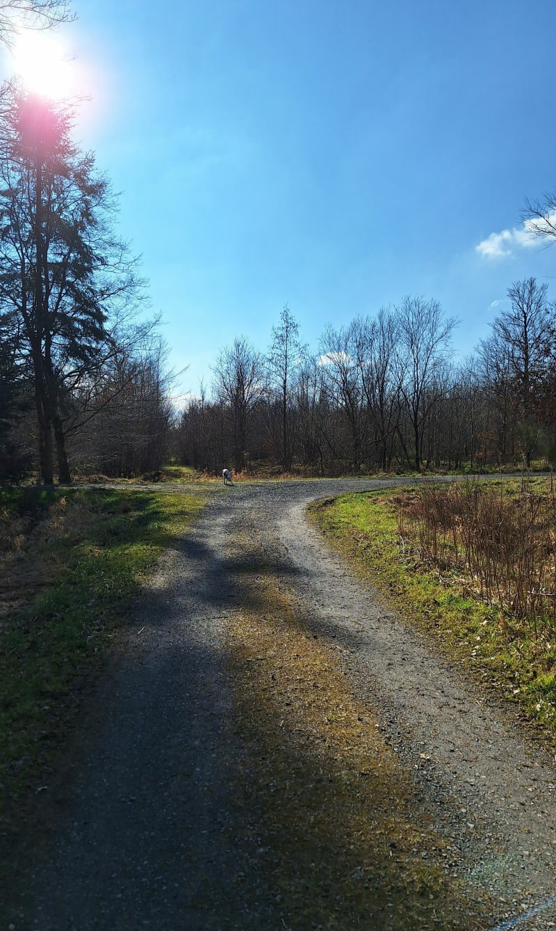 5 km en forêt de Mondon - Moncel-lès-Lunéville