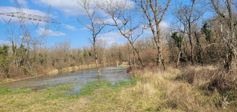 Balade le long du canal - Jonage