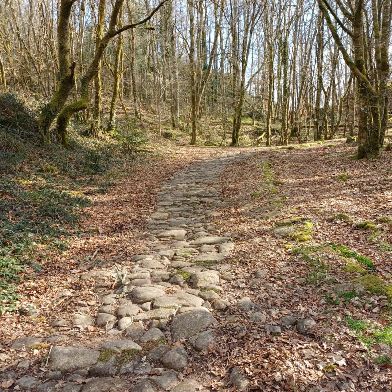 Saint Auvent histoire et nature - Saint-Auvent