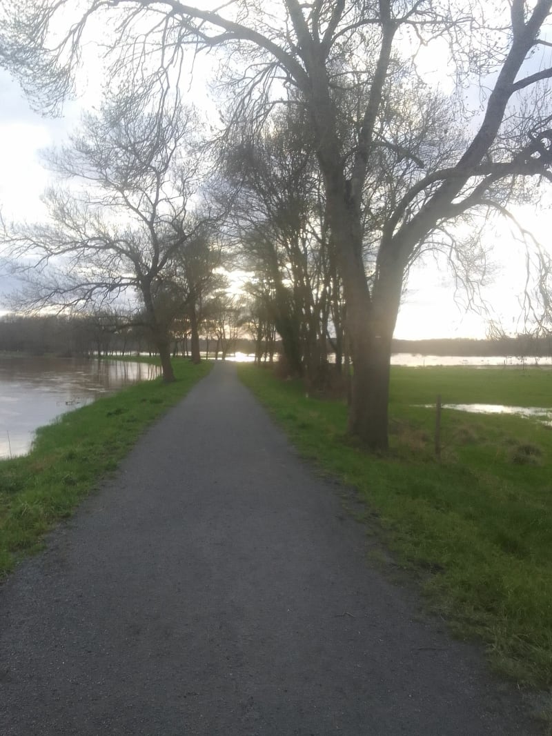 Balade au bord de la Vilaine - Redon