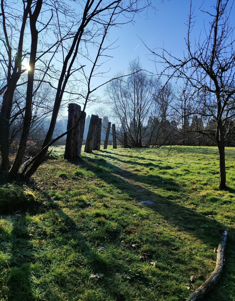 Forêt Ferrières-en-Brie - Ferrières-en-Brie