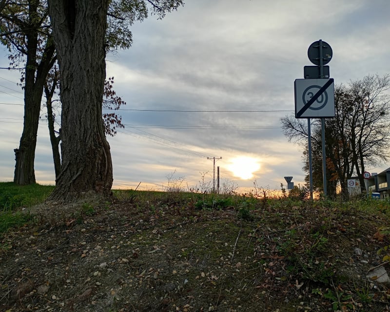 Droga przez Las  Stolarzowice - Tarnowskie Góry