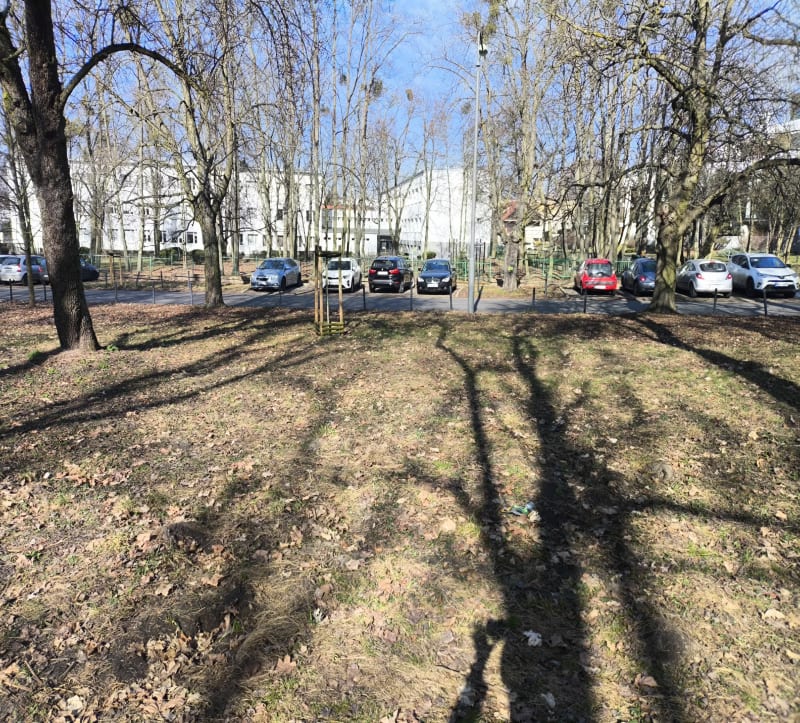 Marszibieg Poznan - Poznań