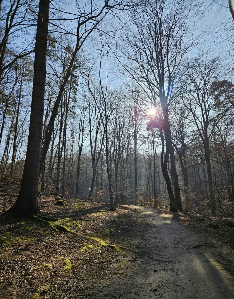 Z Matemblewa na Niedźwiednik - Gdańsk
