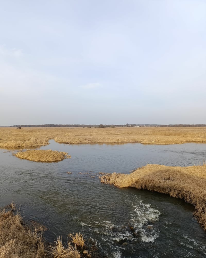 Waniewo - Kładka nad Narwią - Waniewo