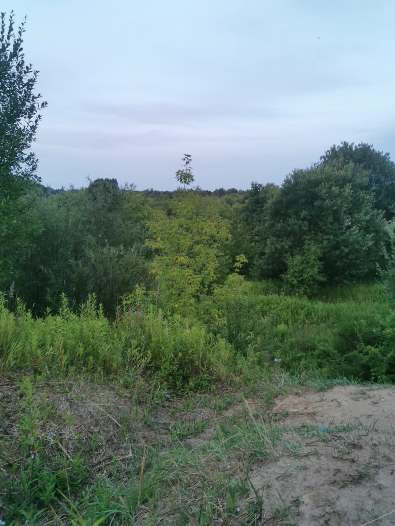 Spacer do sklepu okrężna droga - Piaseczno