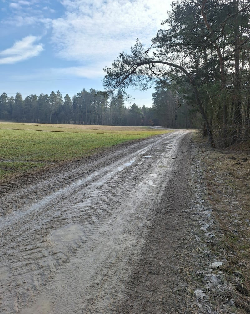 Marszo-bieg Knapówka - Knapówka