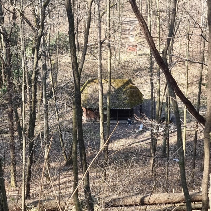 Zamku Książ -ogrody, park krajobrazowy - Świebodzice