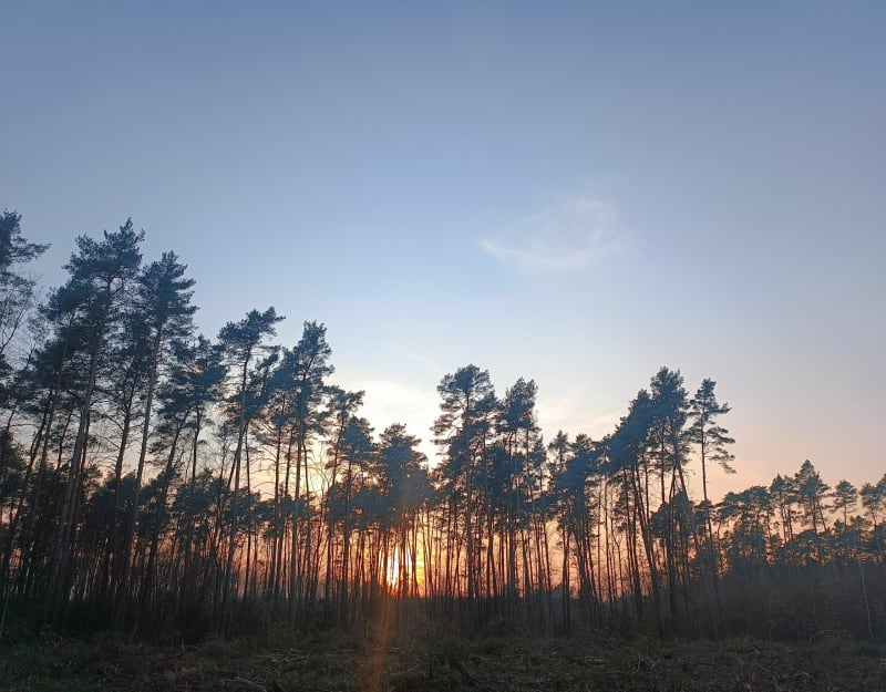 Trasa na stawy - Wołów