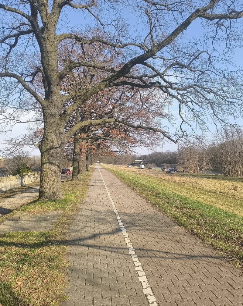Nad Odrą - Wrocław
