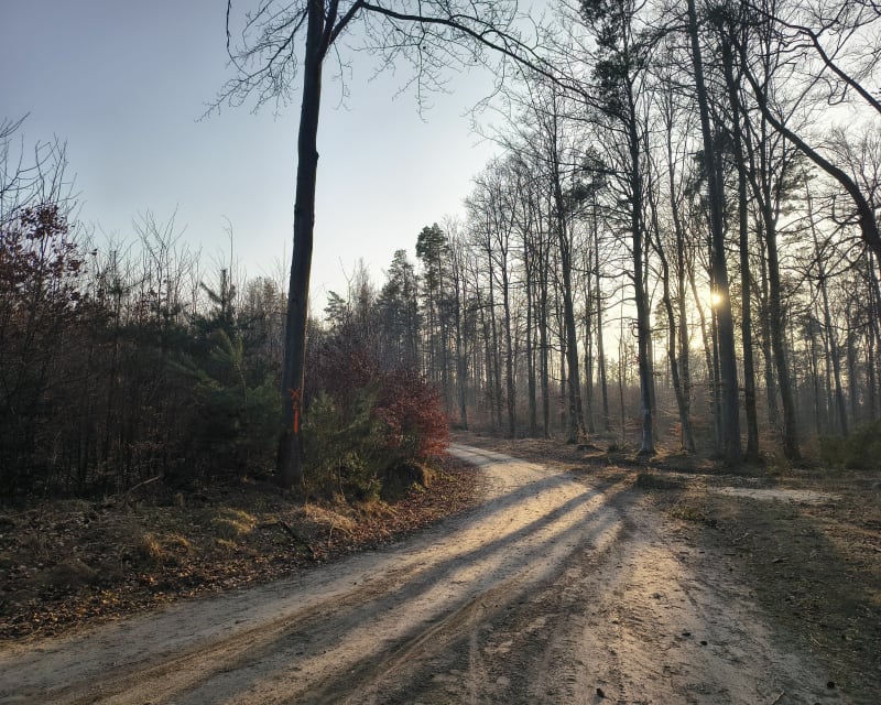 Zielonym szlakiem - Rumia, Zbychowo, Wyspowo, Gniewowo, Reda - Rumia