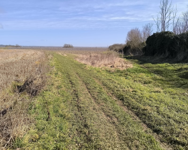 Balade dans les champs autour de Feucherolles - Villepreux