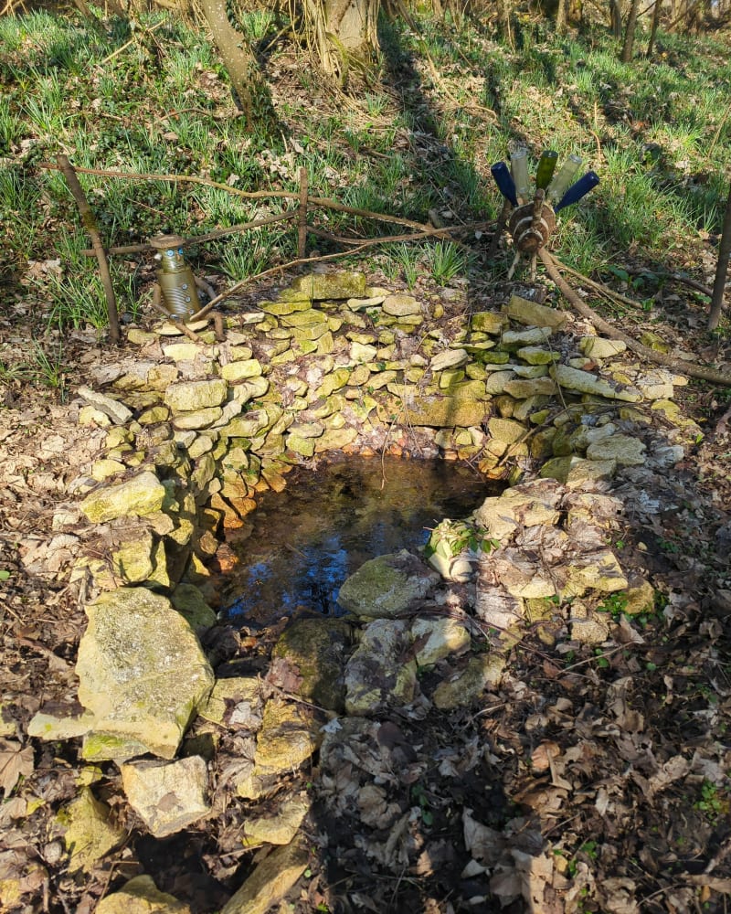 Magnifique balade sur Janvry - Germigny