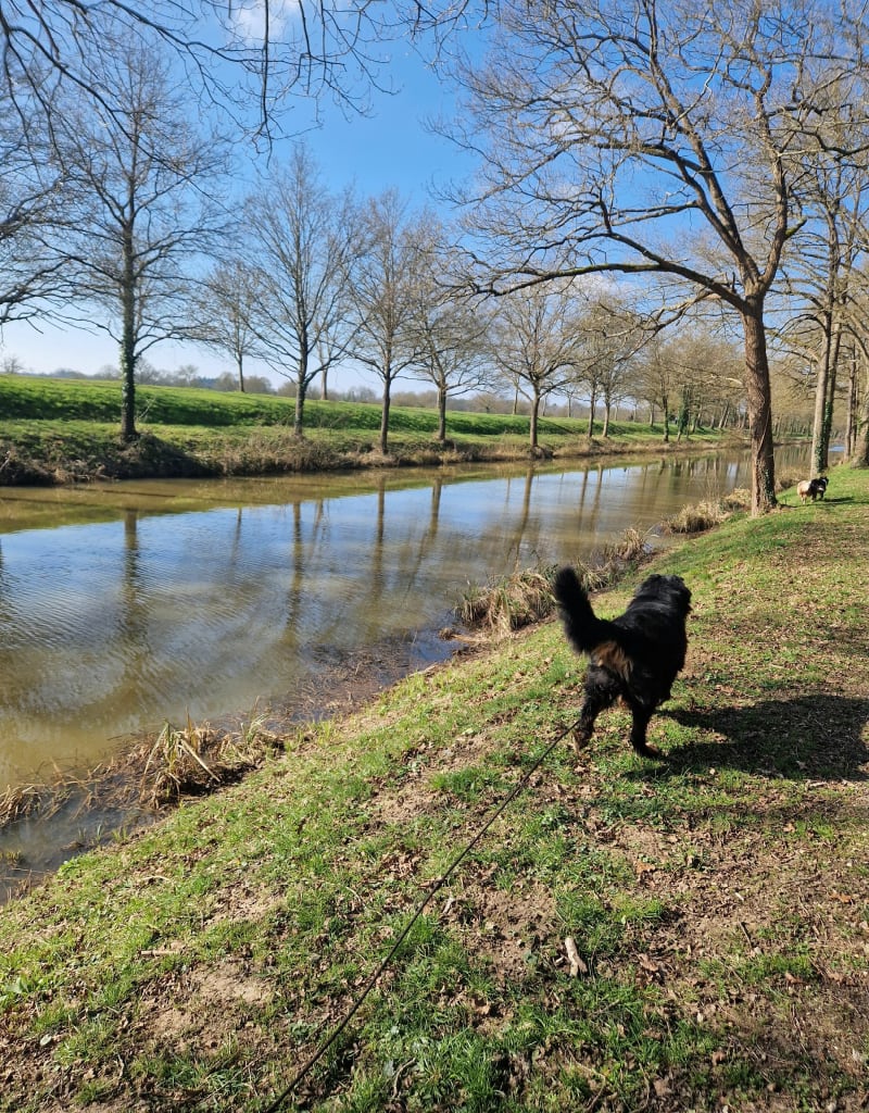 Canal et écluse de Fillé - Fillé