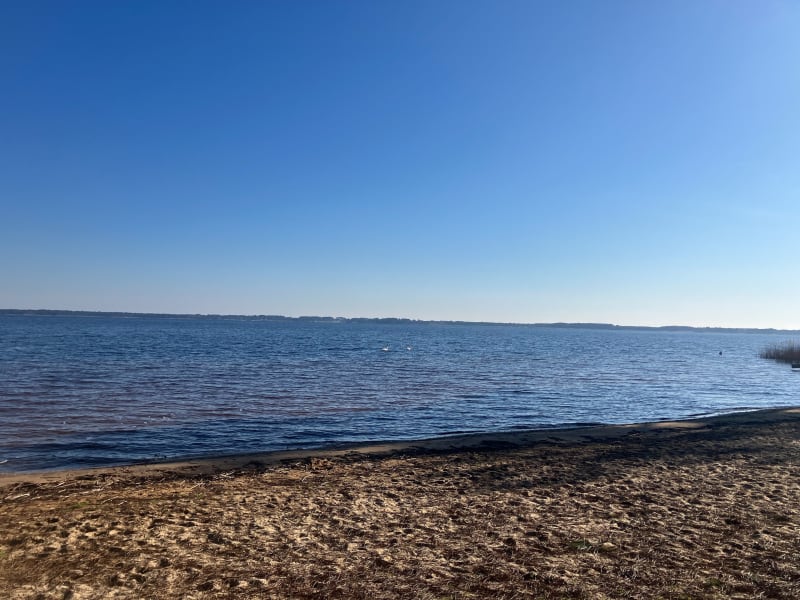 La Grande Escoure - entre pins et lac - Lacanau
