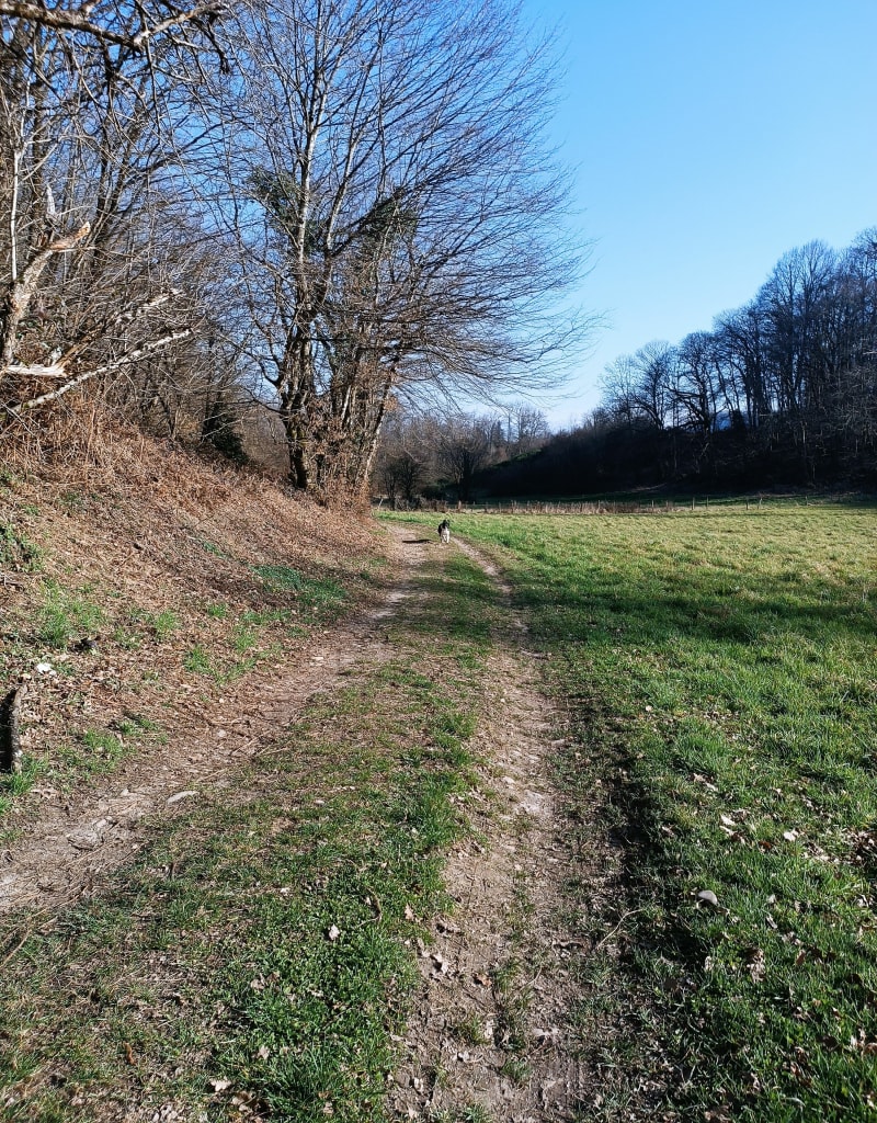 Boucle passant par les Abrets, Pressins, la Chapelle - Les Abrets en Dauphiné