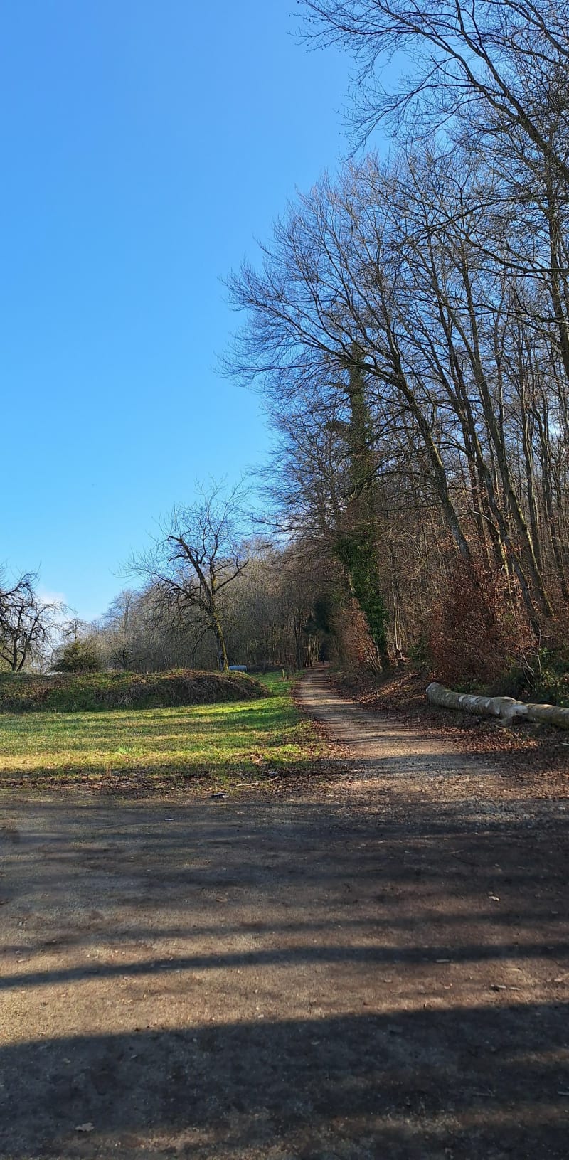 Marche Populaire de Koestlach - Kœstlach