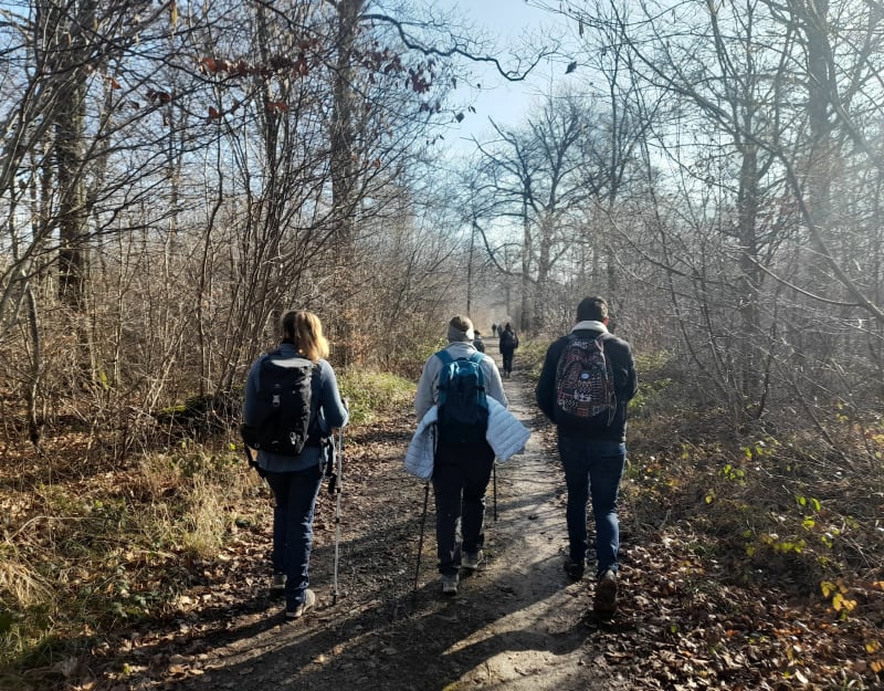Balade dans la forêt de La Neuville en Hez - La Neuville-en-Hez