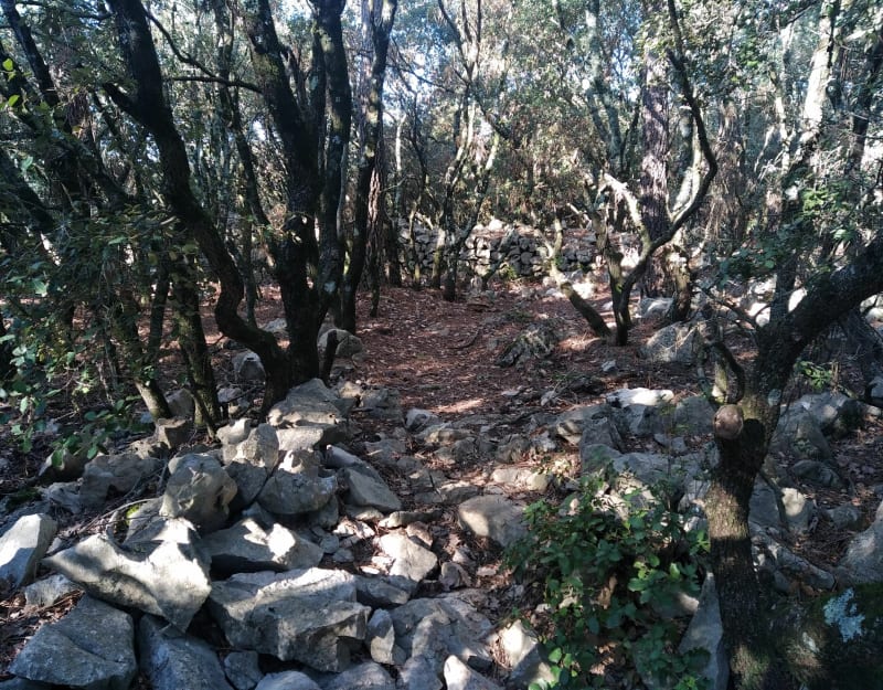 Rando/trail à la Figanières - Figanières