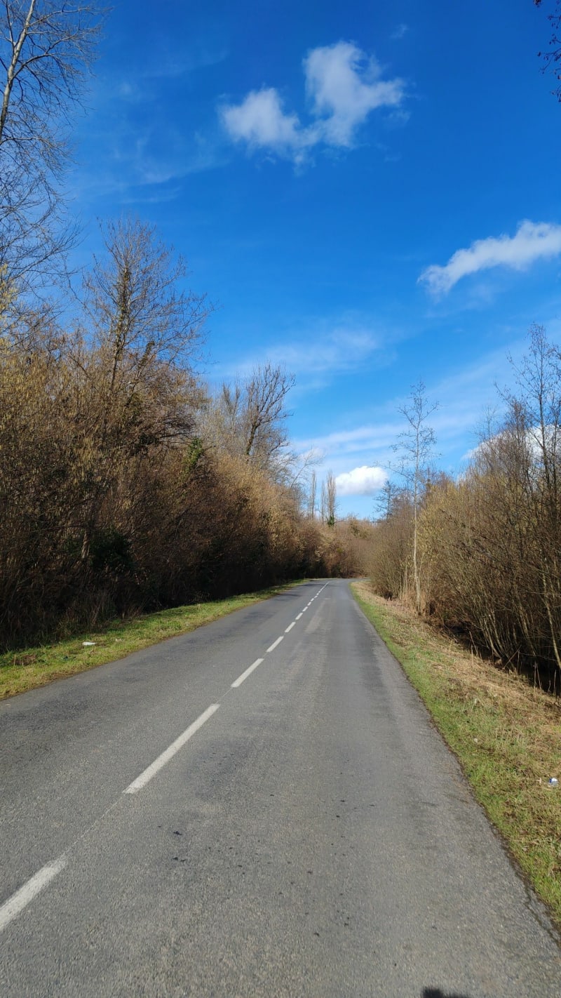 Forêt de Retz au départ de La Ferté-Milon - La Ferté-Milon