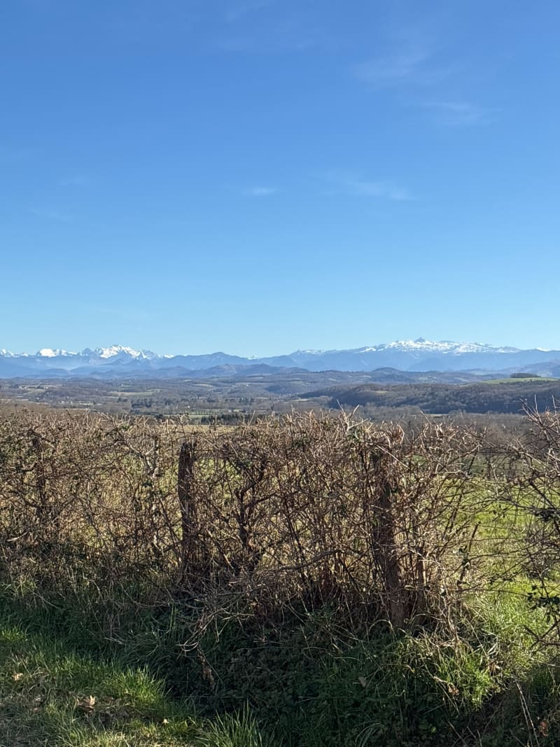Le tour des forêts (Rivehaute - Nabas - Espiute - Osserain ) - Montfort