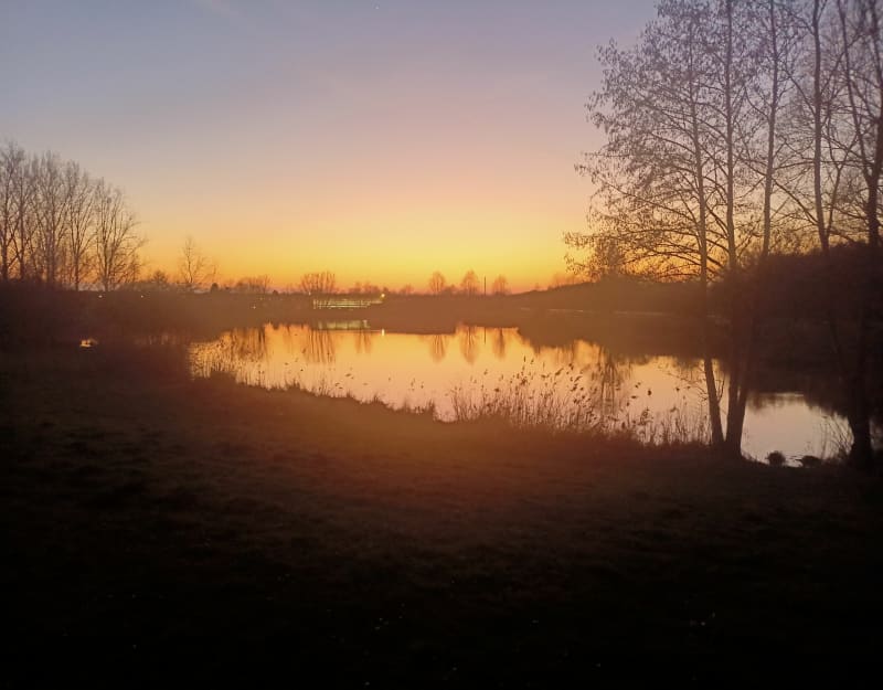 Bois de Montigny - Pecquencourt