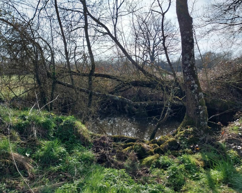 Balade  du Gourgé - Gourgé