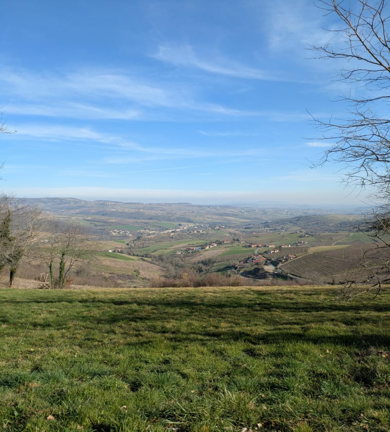 Circuit Brou - Mont Jonc - Ternand