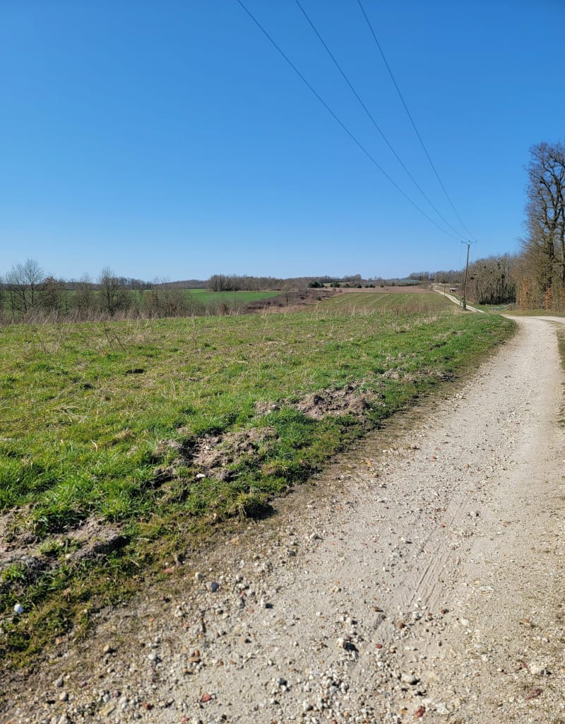 À la campagne prés de Lignières de Touraine - Azay-le-Rideau