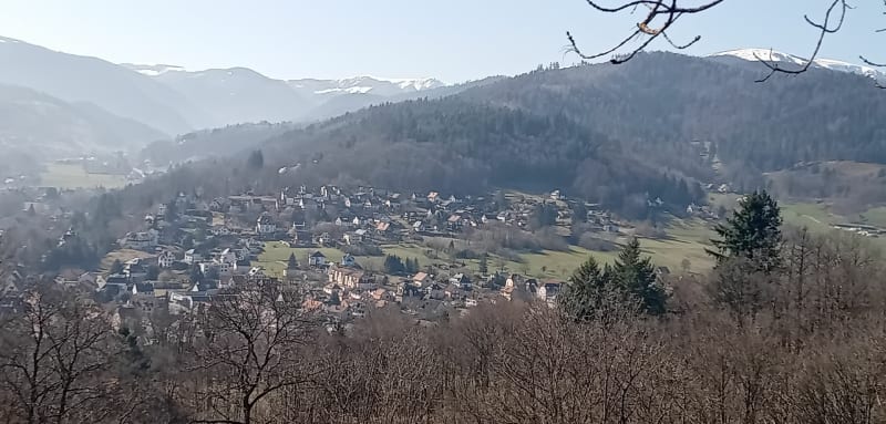 Randonnée dans les hauteurs de Munster et Gunsbach - Munster