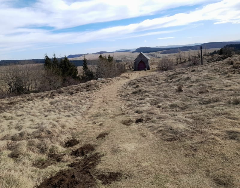 Tour du plateau Tassivière - Besse-et-Saint-Anastaise