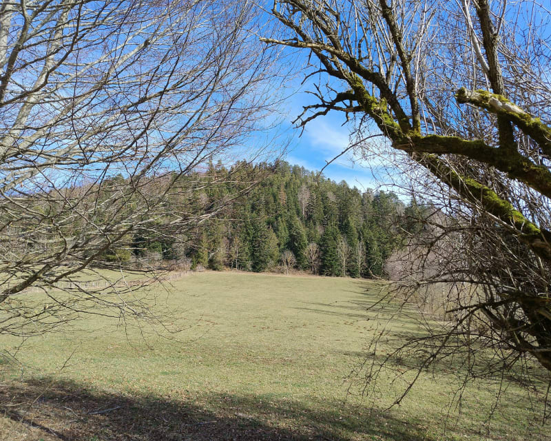 Puy de la Rodde - Aydat