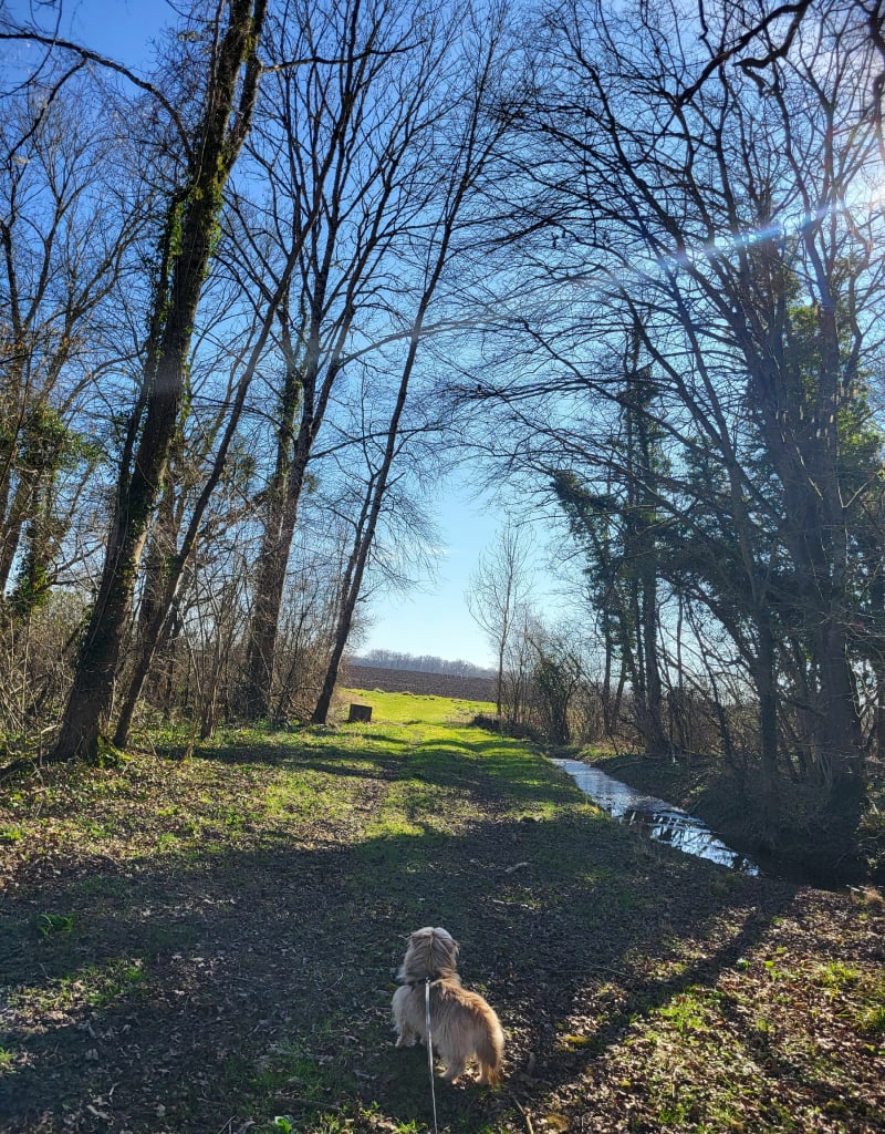Belle balade ensoleillée à Villy-le-Marechal - Villy-le-Maréchal