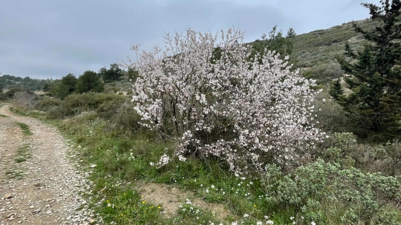 Un tour dans le massif de la Clape - Narbonne
