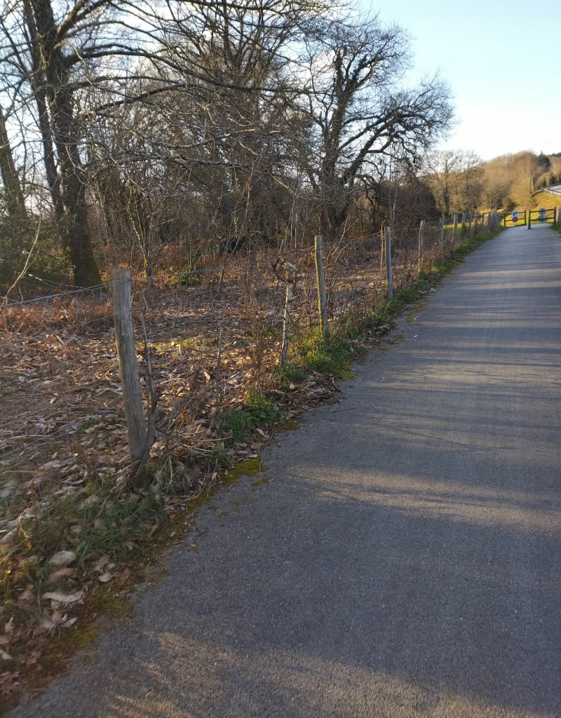 Tour de Saint Avé - Saint-Avé