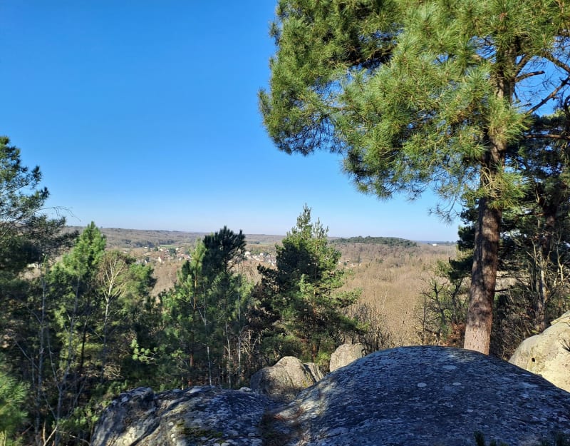Foret de Nemours - Nemours