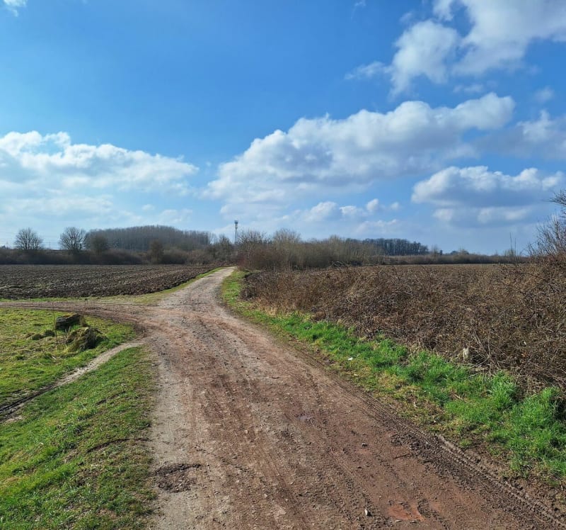 Boucle depuis Lésigny - Lésigny