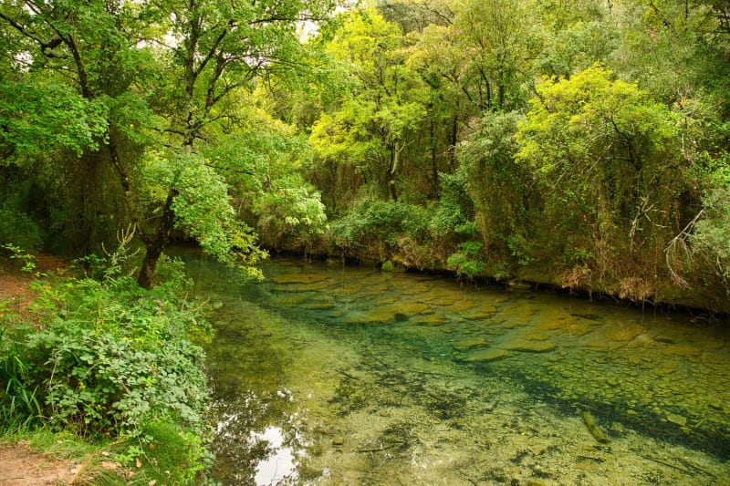 Randonnée gorges du Caramy : vue sur la rivière bleutée entourée d'une forêt verdoyante