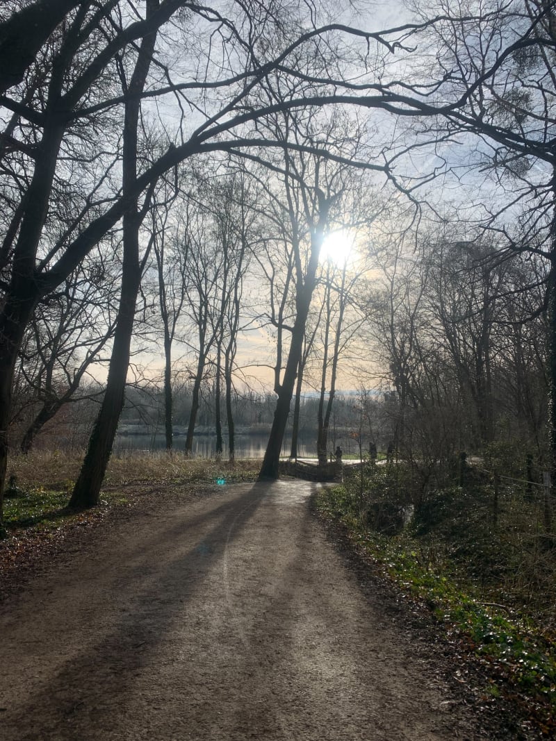 L’orge du dimanche ! - Saint-Michel-sur-Orge