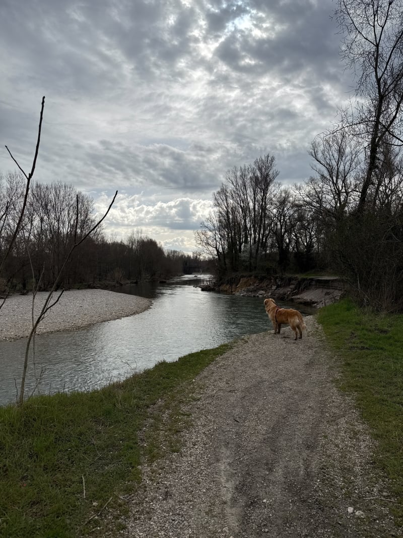 Balade entre les vignes et les rivières - Ribaute-les-Tavernes