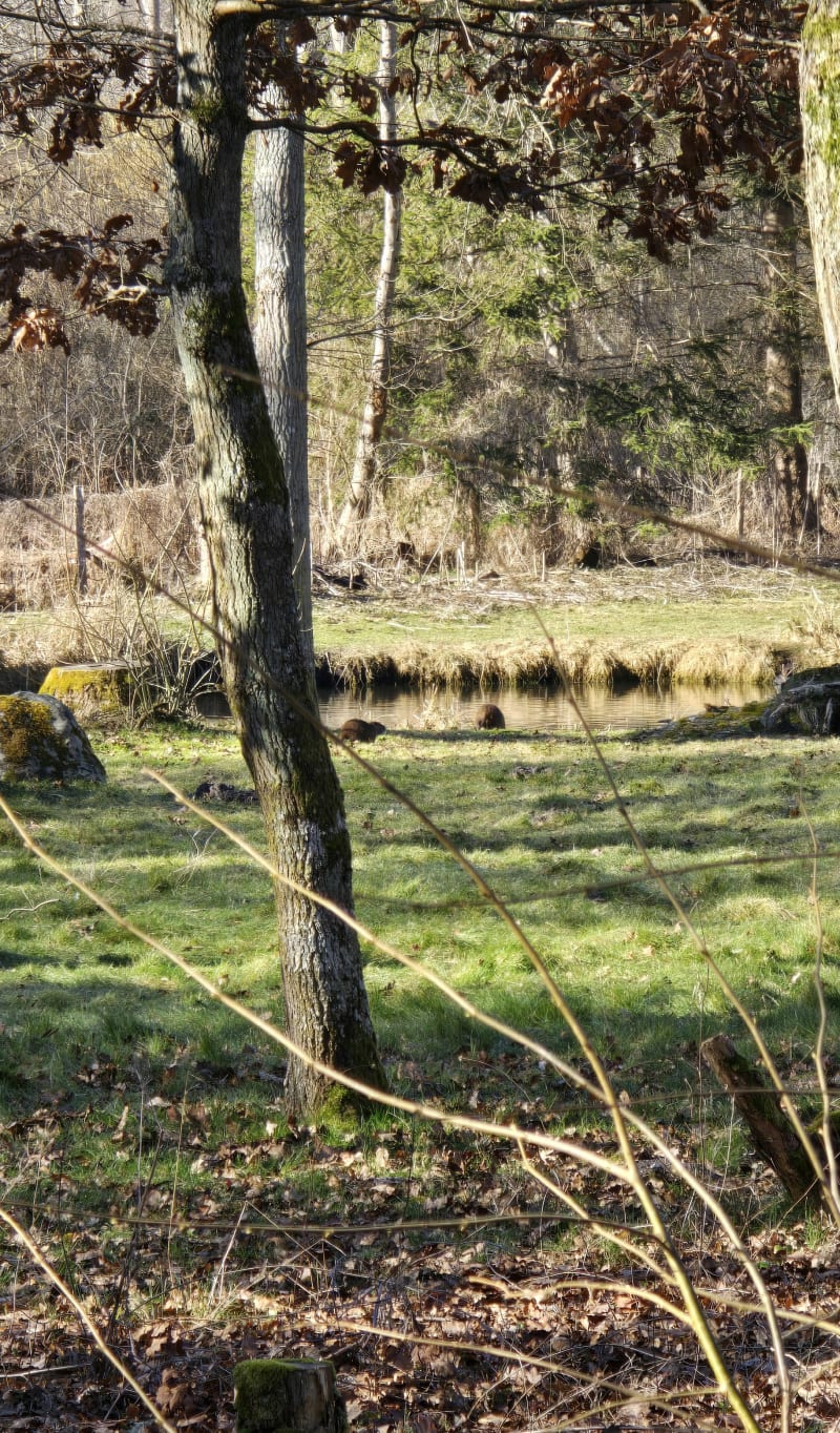 Tour de Chantambre et Grande Vallée - Buno-Bonnevaux