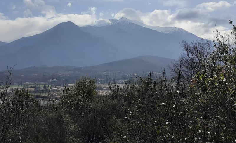 Une heure à perdre sur les hauteurs de Prades et Catllar - Prades