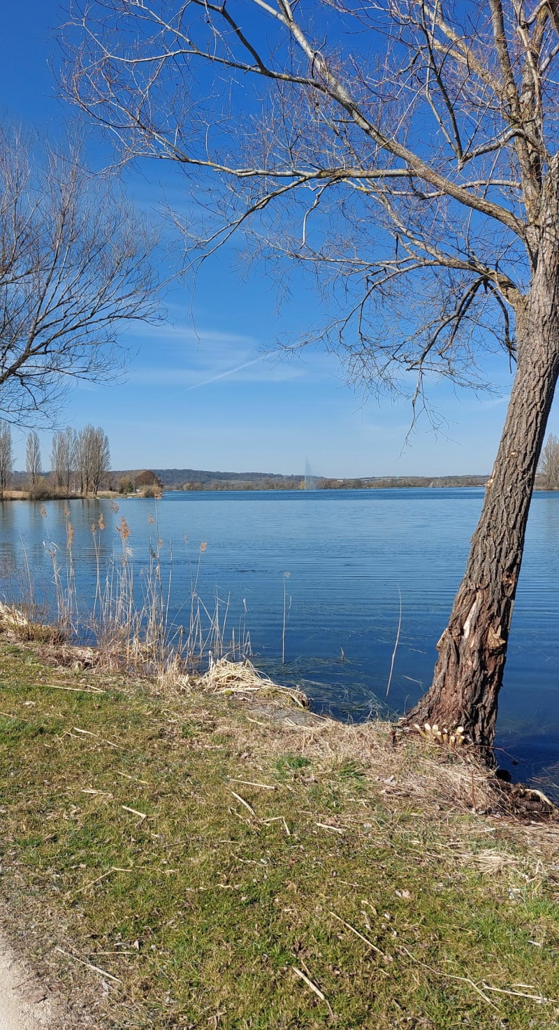 Le lac de Vaivre - Vaivre-et-Montoille
